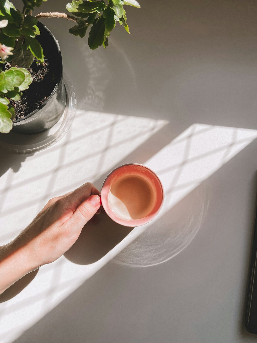 Hands typing on a laptop beside a coffee cup